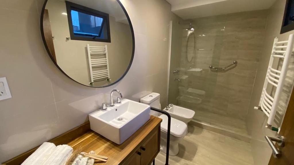 门多萨718 Rufino Petit Hotel的一间带水槽、镜子和淋浴的浴室