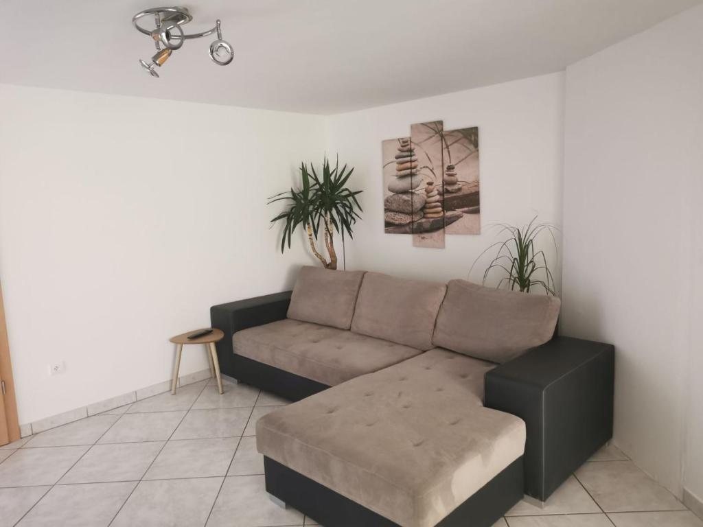 马尔科勒塞姆Chez Raphaël的带沙发和一些植物的客厅