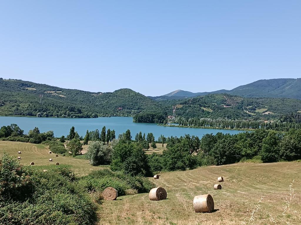 卡迈格拉特罗希拉诺B&B Staziona e Dormi的湖旁田野上的一群干草 ⁇ 