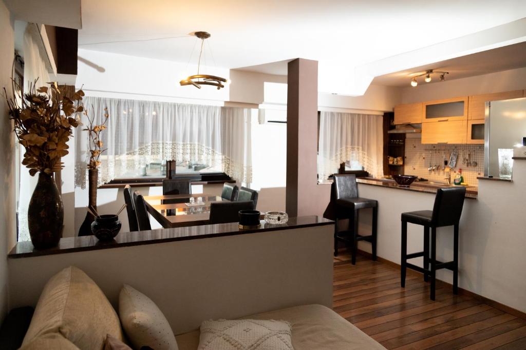德罗贝塔-塞维林堡Apartament CENTRAL 1的带沙发的客厅和厨房
