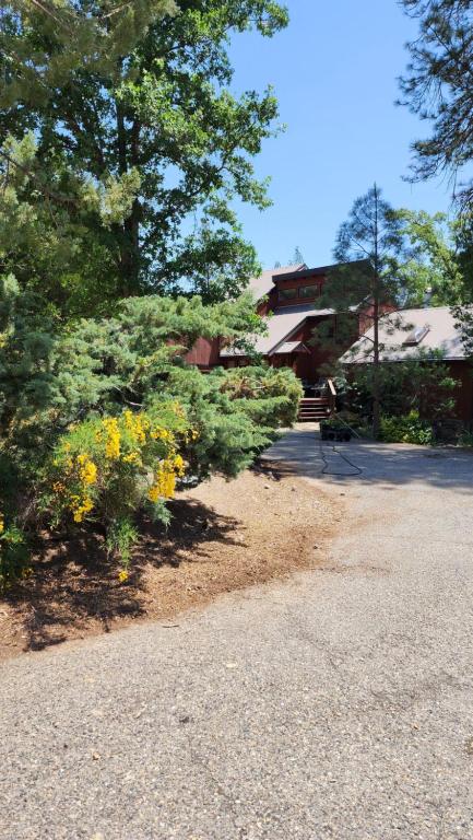 奥克赫斯特Yosemite Mountain Retreat的一座种有黄色花卉和树木的花园以及一座建筑