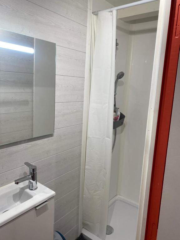 圣谢利达普谢Chambre indépendante的浴室配有淋浴帘和盥洗盆。