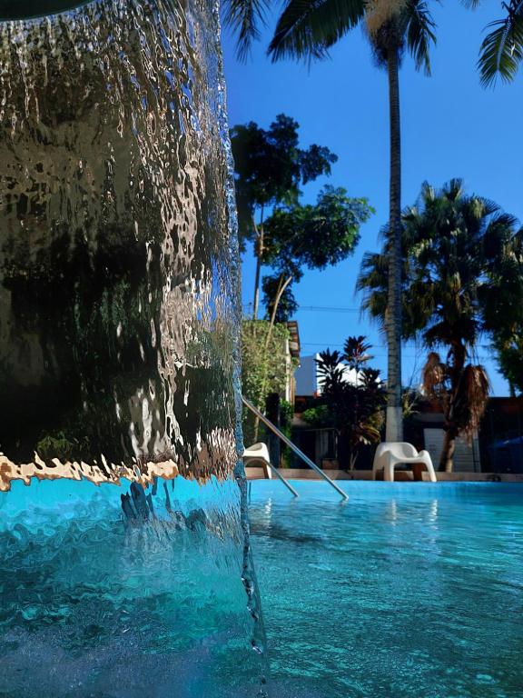 伊瓜苏Hotel Castelo Branco的棕榈树游泳池中的喷泉