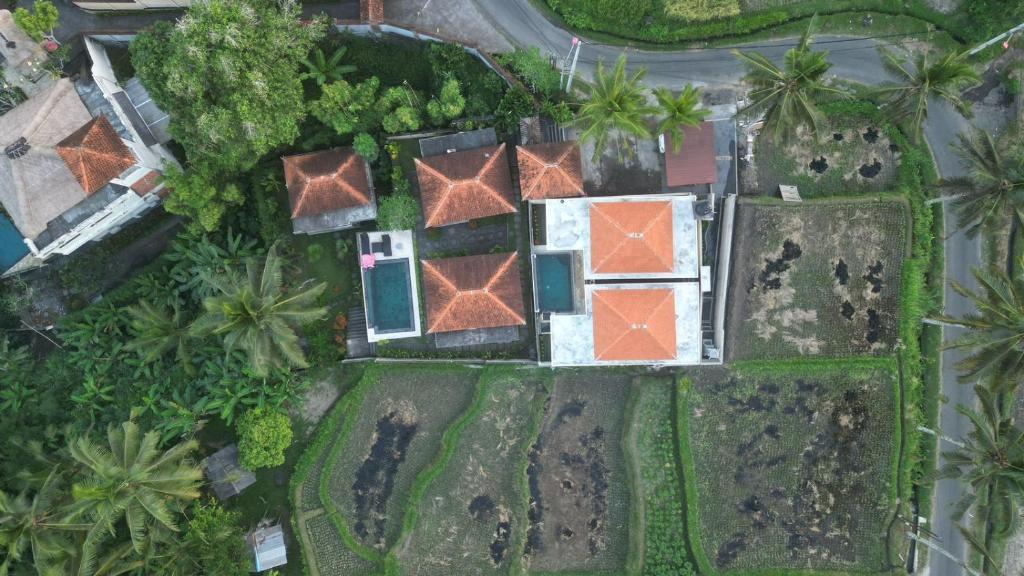 德格拉朗Ubud nadi villa的棕榈树房屋的空中景致