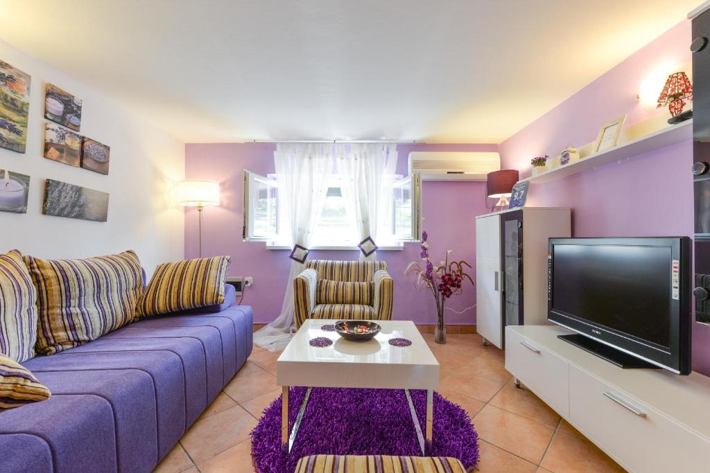 扎达尔Apartment Mirana with garden and FREE parking的客厅配有蓝色的沙发和电视