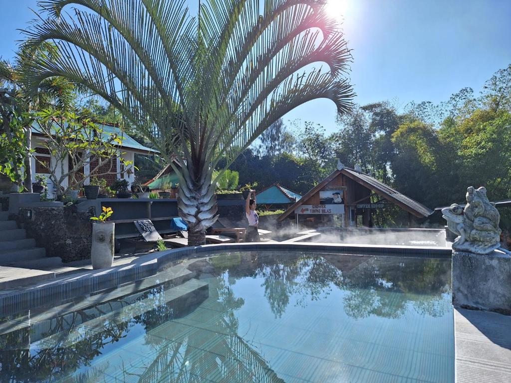 金塔马尼Black Lava Hostel and Lodge的棕榈树,游泳池旁,设有喷泉