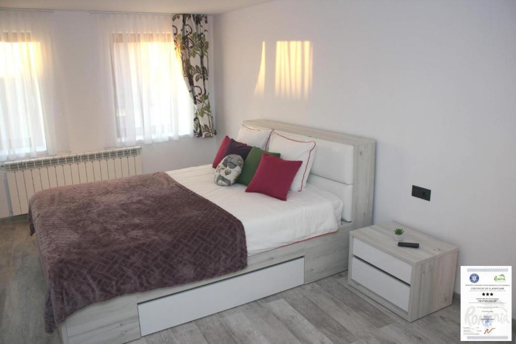锡比乌Amedeea's Apartment的一间卧室配有一张带红色和绿色枕头的大床
