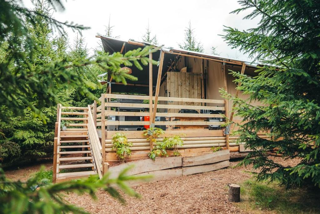 PenrhôsCosy Forest Lodge的前面有栅栏和植物的房子