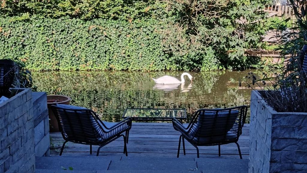 阿姆斯特丹Canal Garden Apartment StayWell Amsterdam的两把椅子和一张玻璃桌,水中天鹅