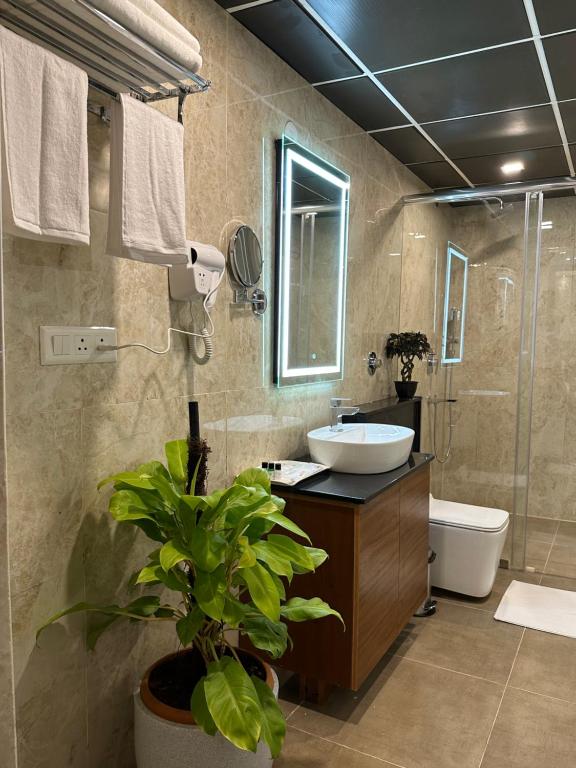 班加罗尔ROYAL ACE LUXUR的一间带水槽、卫生间和植物的浴室