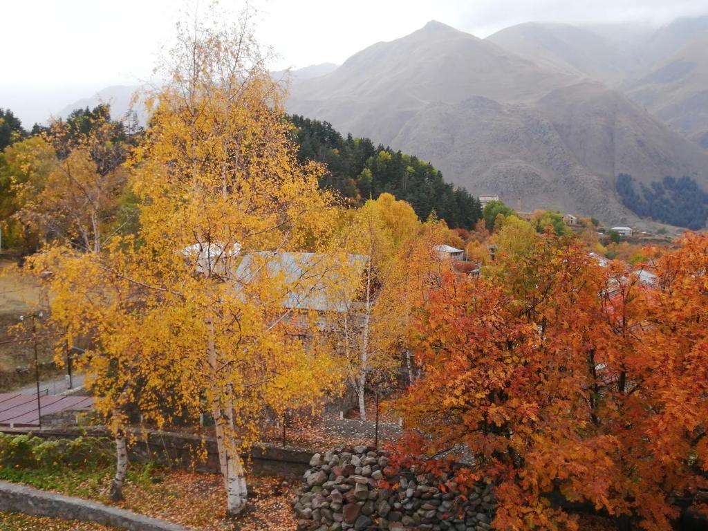 卡兹贝吉Garemta的享有树木秋天的景色,背景为群山