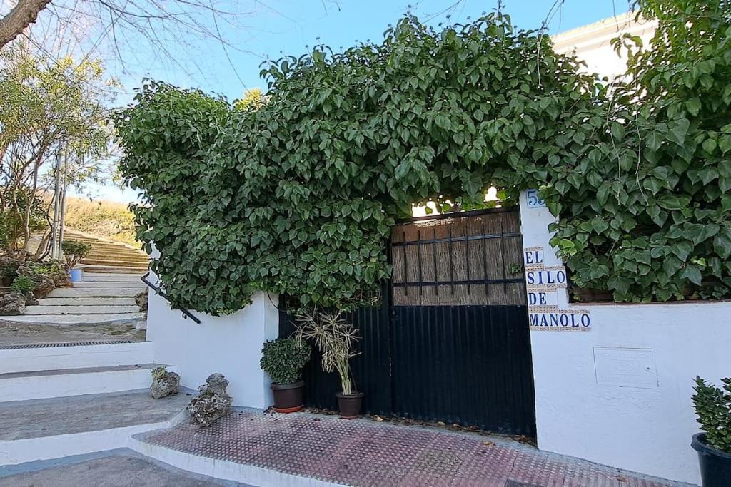 RomeralEl Silo de Manolo的白色墙上的黑色门,上面有植物