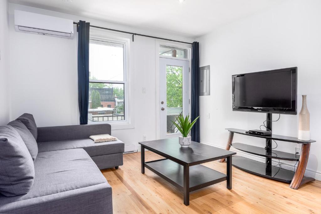 蒙特利尔AAA Location - Bright and Cozy Apartment的带沙发和电视的客厅