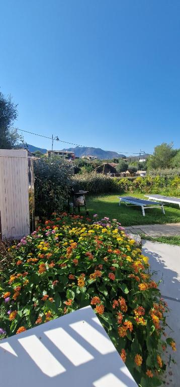 奥尔比亚La casa al mare, Pittulongu的花园里的一束鲜花,长着长凳
