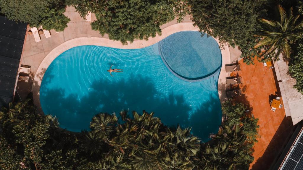 塔马林多卡拉鲁纳精品别墅酒店的游泳池游泳者的头顶景色