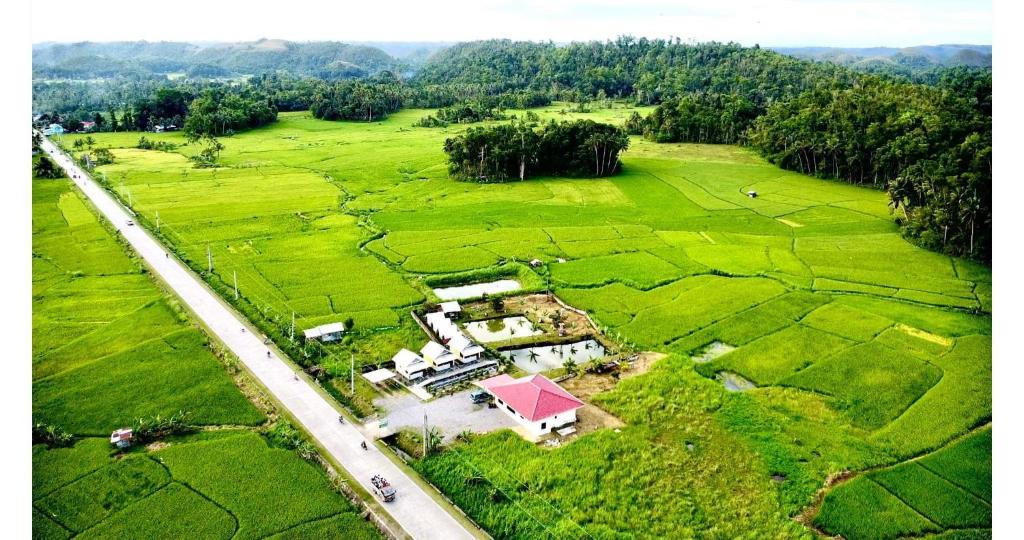 BatuanJazz Ferme Inn Batuan Bohol的田野房屋的空中景观
