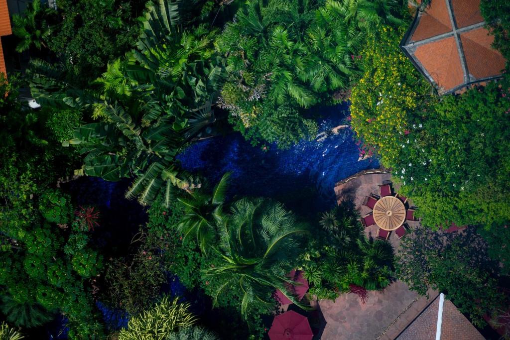 曼谷曼谷苏坤喜来登豪华精选大酒店的享有花园的顶部景色,花园内有房子和树木