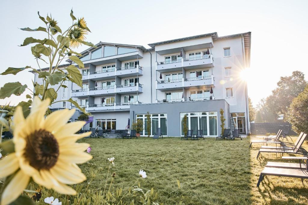 巴特法兴格Holzapfel的一座建筑前面有向日葵