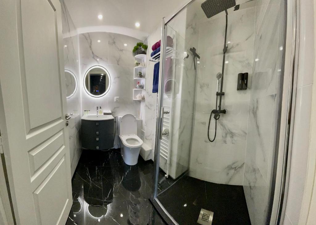 埃维昂莱班Evian appartement confort Vue lac et parking privé的带淋浴、卫生间和盥洗盆的浴室