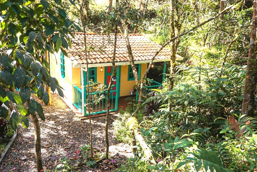 圣埃伦娜ENCANTO Minicasitas en medio de la naturaleza的森林中间的小房子
