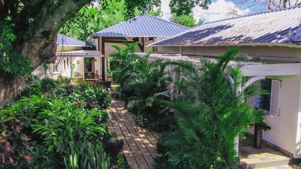 ArgyTree Lodge Mauritius Villa的前面有一堆植物的房子