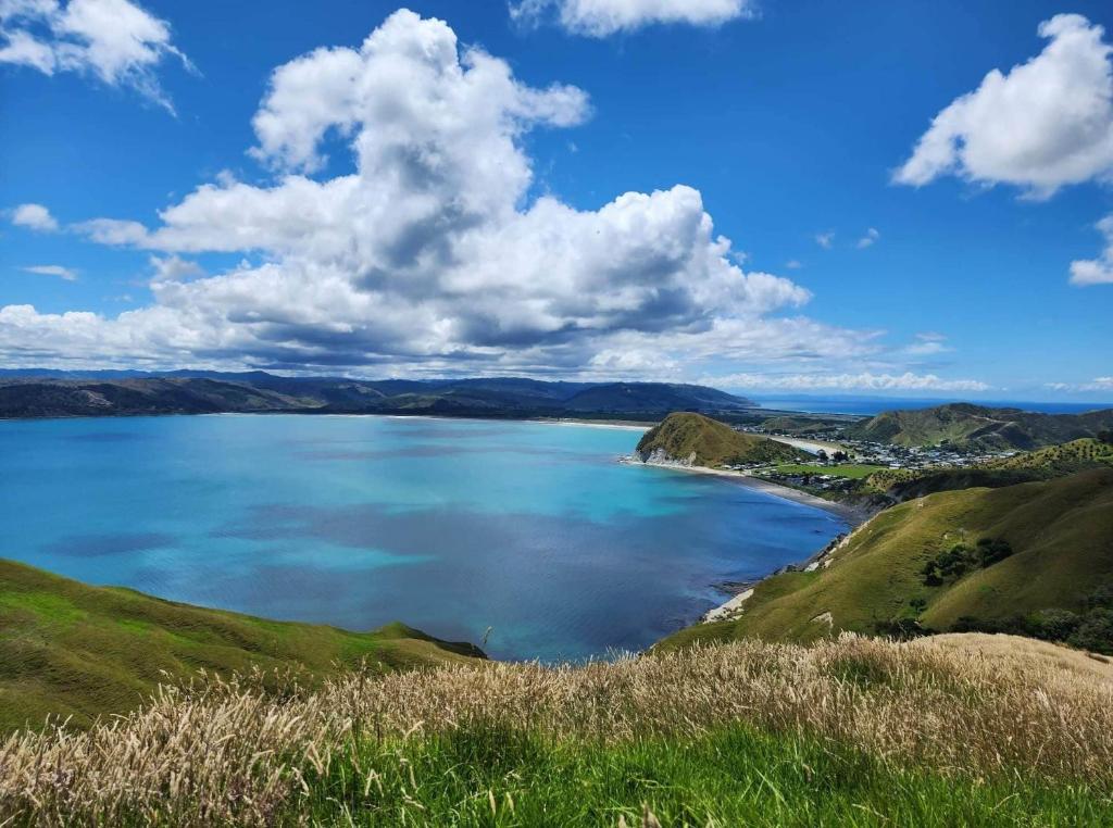 MahiaOcean Waters的山丘上一大片水景