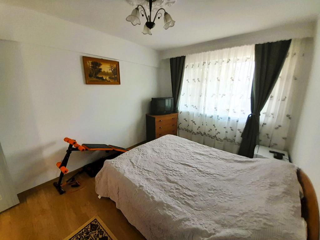 巴克乌Apartment Eminescu - A pleasant stay in Bacau的一间卧室设有一张床和一个窗口