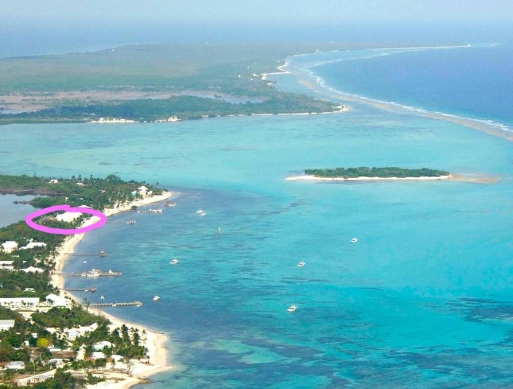 Head of BayConch Club Cottage的海滩空中景色,水中有一个粉红色物体