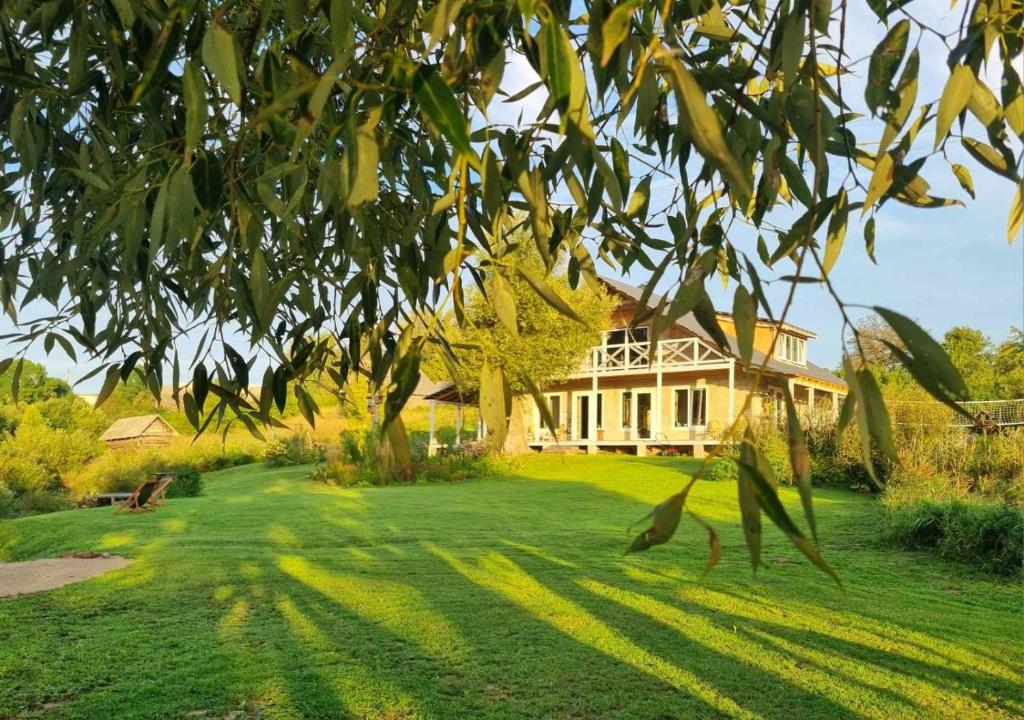 ŠvenčionysGluosnių vila - Adutiškio pirtis的绿树成荫的院子中的大房子