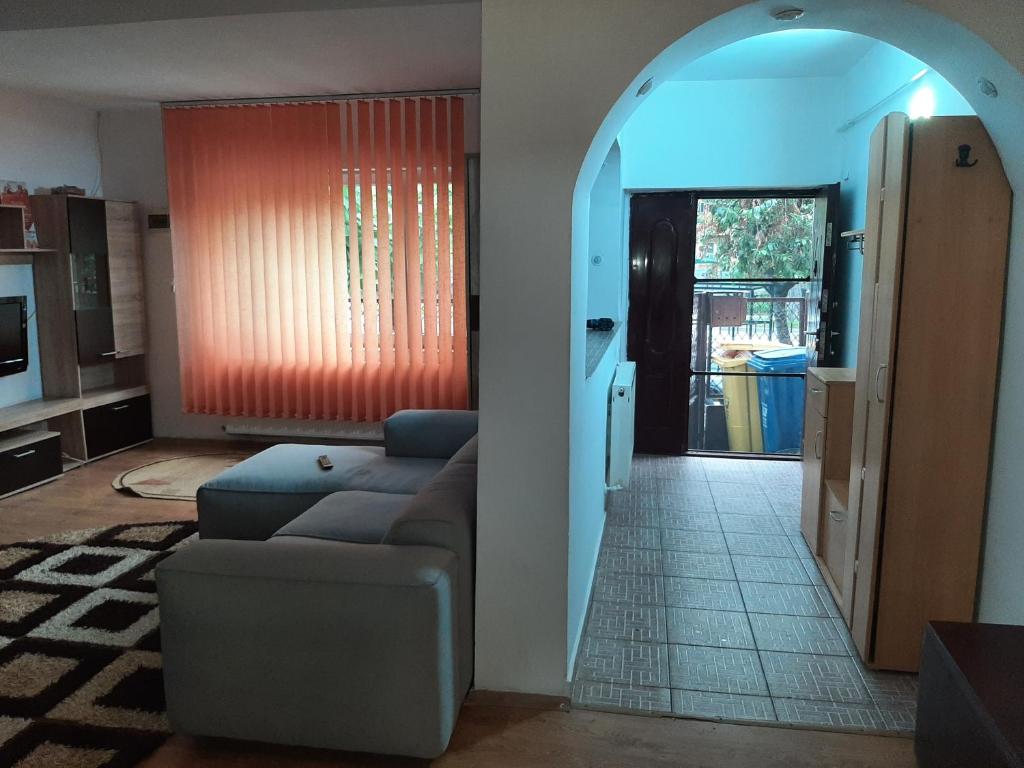 克拉约瓦Casă centru的带沙发的客厅和通往厨房的门