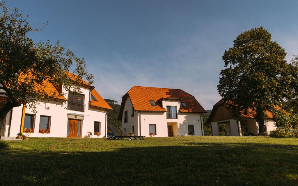 PišeceHiša na Ravnah的一座大型白色房子,在田野上拥有橙色屋顶