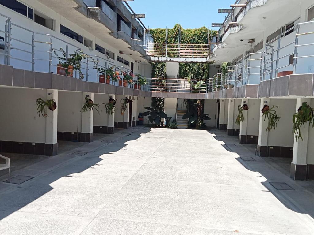 帕尔米拉HIDALGO HOTEL的一座公寓楼里空的走廊,里面种有植物