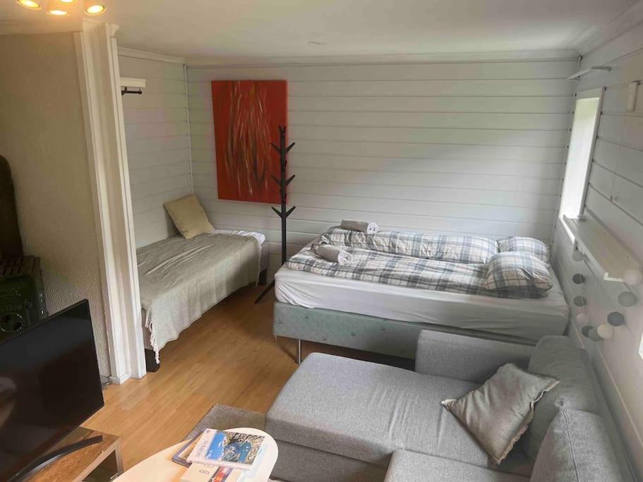 卑尔根Cosy apartment with free parking的一间带两张床和一张沙发的客厅
