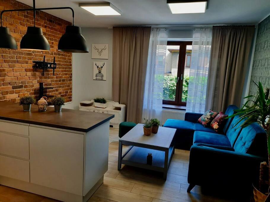 卡托维兹Urocze mieszkanie z parkingiem的一间带蓝色沙发的客厅和一间厨房