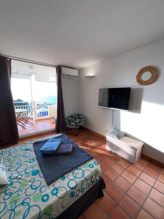 拉特里尼泰Ananas Premium的一间卧室配有一张床、一台电视和一个阳台