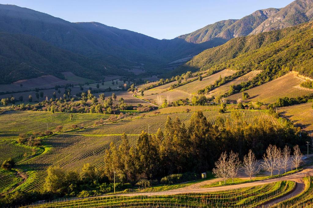 圣克鲁兹Cabaña del Vino的享有山脉山谷的空中景致