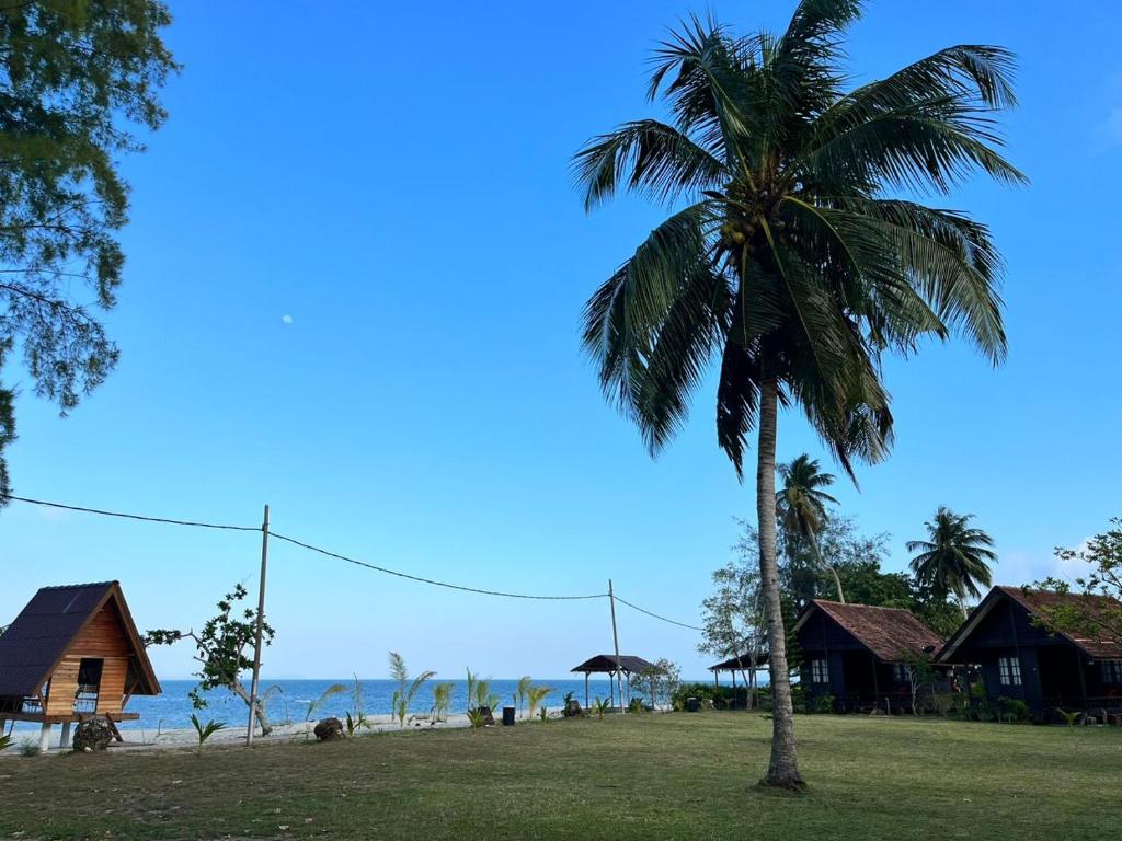 Kampong Atap ZingALUN ALUN ISLAND RESORT的海滩前的棕榈树,有房子