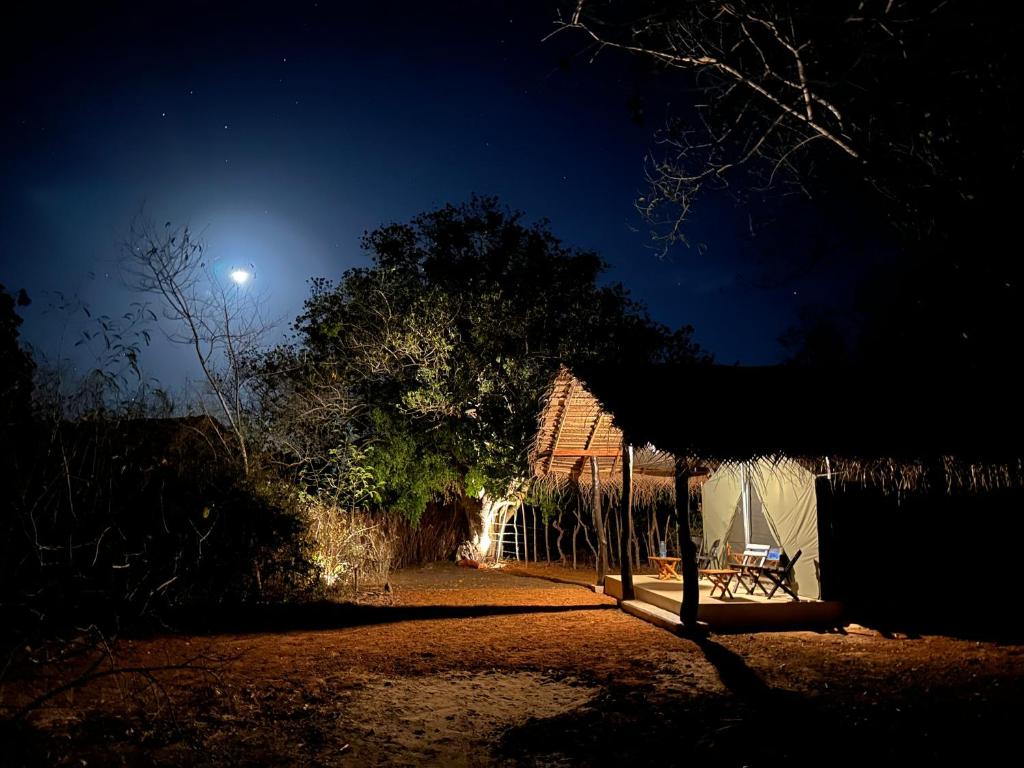 雅拉Ranakeliya Lodge - Yala的天空中月亮的夜晚房屋