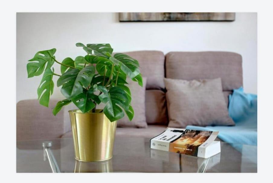 阿列塔CASA AZUR的客厅玻璃桌上的盆栽植物