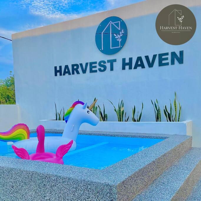 哥打巴鲁Harvest Haven Homestay的一座带有汉考克黑文标志的未装饰的游泳池