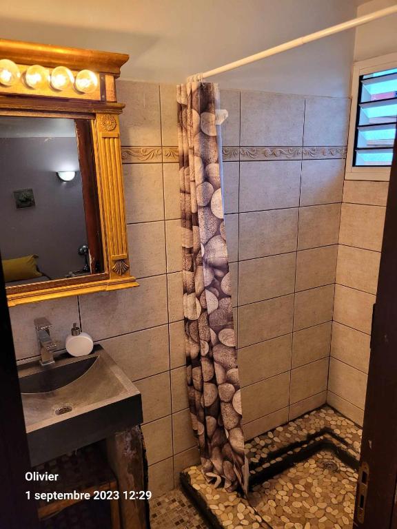 昂特尔德ENTRE DEUX HOTES的带淋浴、水槽和镜子的浴室