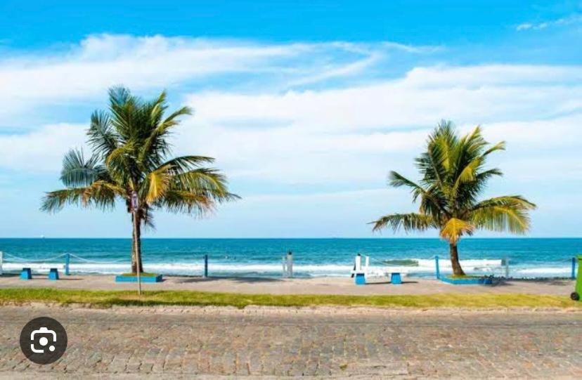 南圣弗朗西斯科Casa Praia&Ferias 300 metros Praia da Enseada的两棵棕榈树,在海滩上