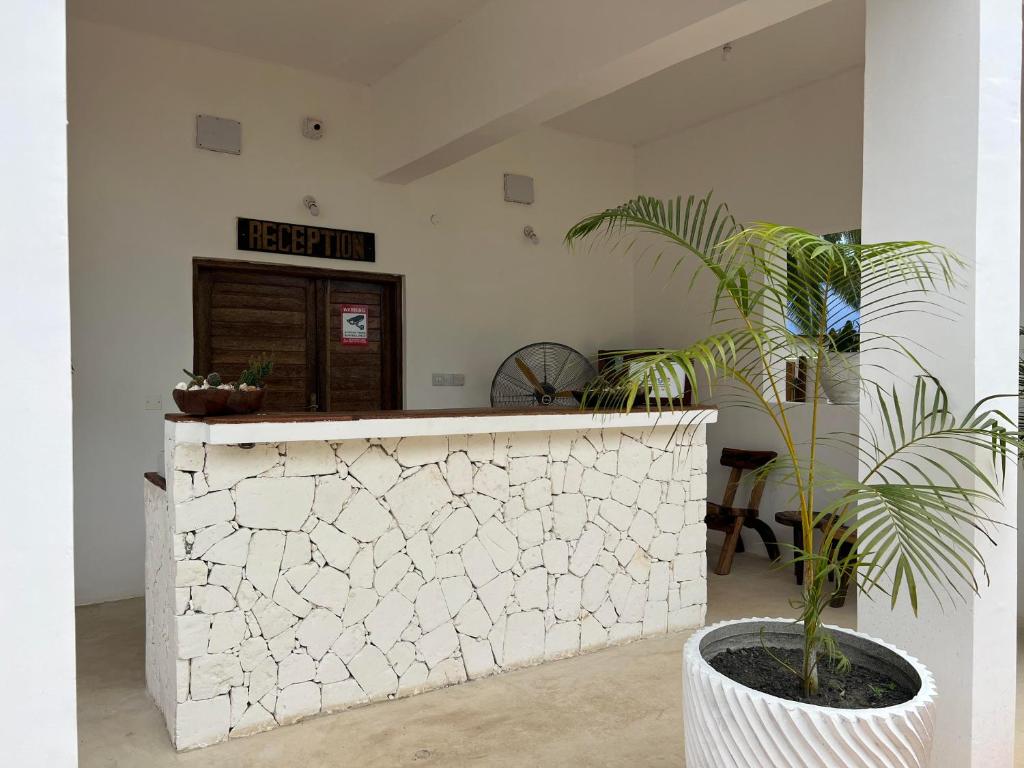 南威Nungwi Getaway的一间房间里装有盆栽植物的白色柜台