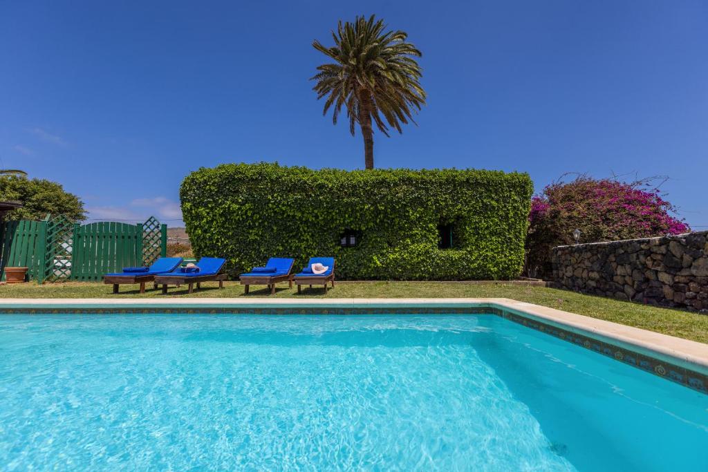 Los VallesCasa El Barranco的一个带两把蓝色椅子和棕榈树的游泳池