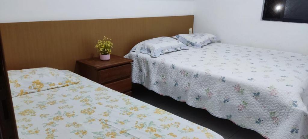 阿奎拉兹Apto Completo - Vila do Mar - Beach Park - PDD的一间卧室配有两张床,并在床头柜上种植了植物