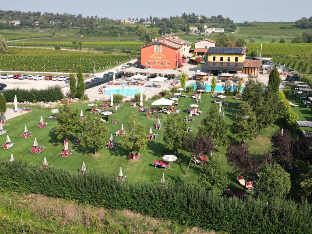 索纳格瑞皮农家乐的享有葡萄园的空中景色,设有度假胜地和公园