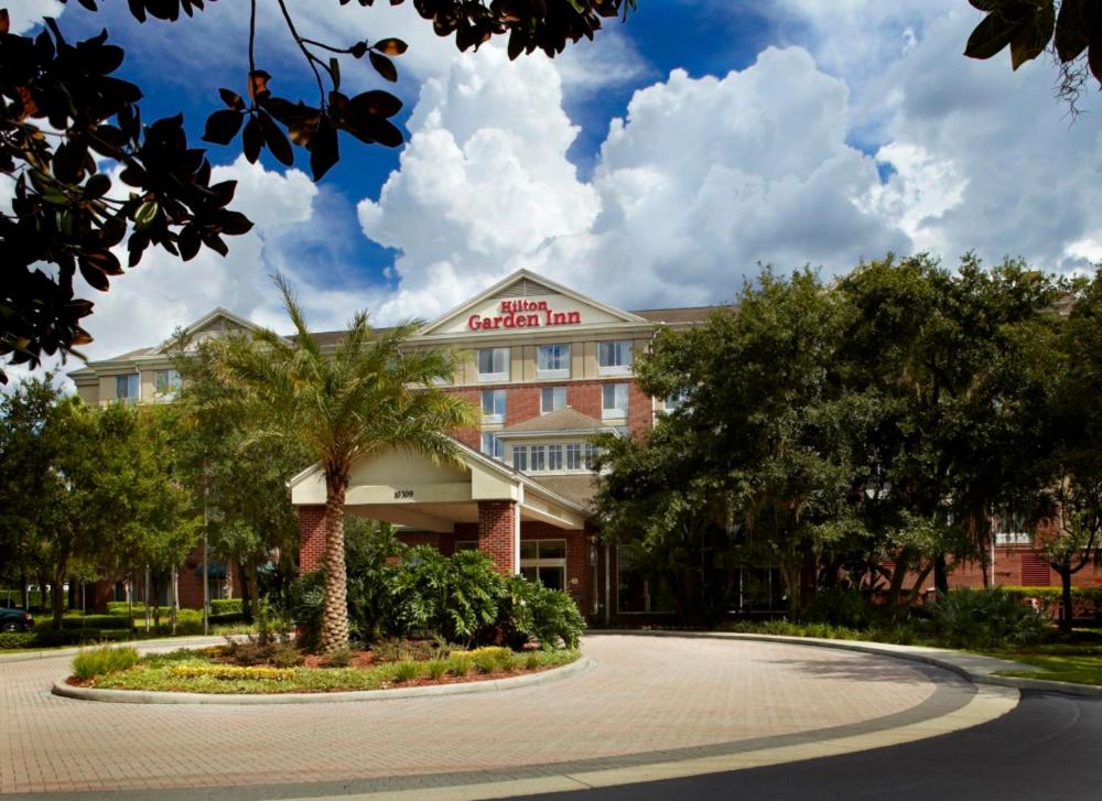 坦帕Hilton Garden Inn Tampa East Brandon的一座建筑前有棕榈树的酒店