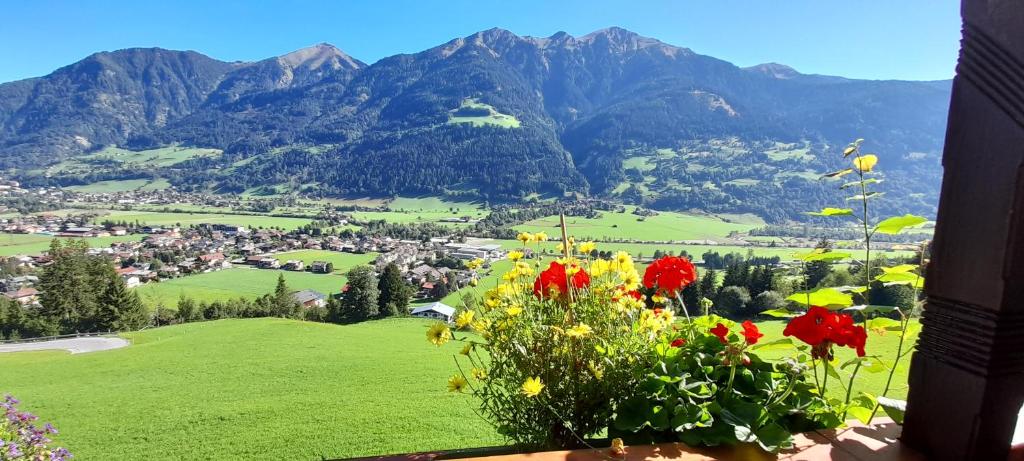 巴特霍夫加施泰因Appartment Krausberghof的享有种满鲜花和山脉的山谷美景。