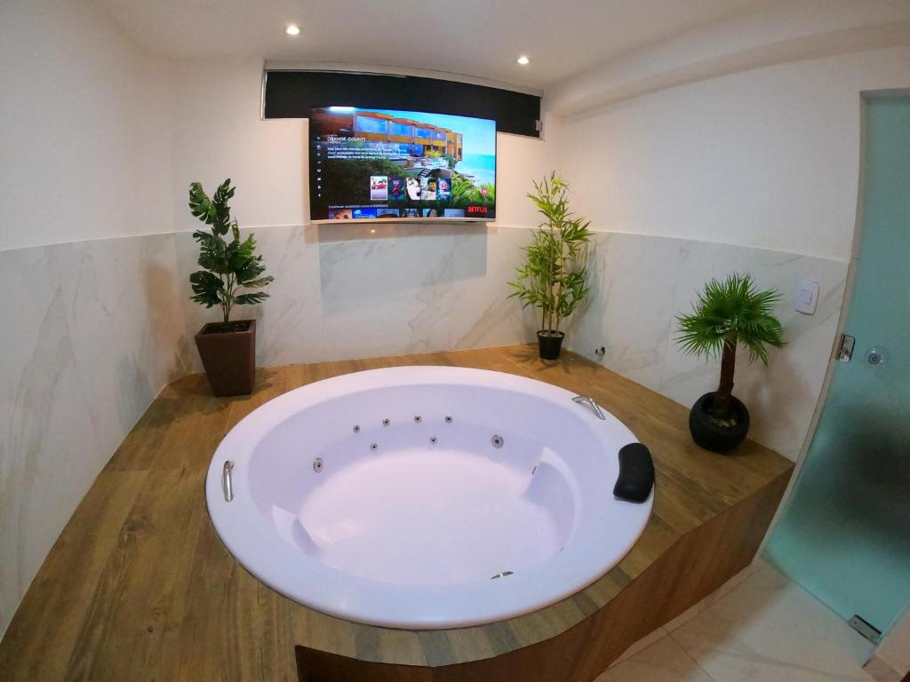 瓦拉达里斯州长市TH 101 - Flat com Banheira de Hidromassagem的浴室设有大浴缸,种植了盆栽植物