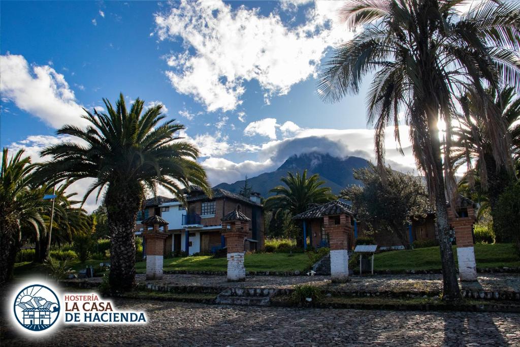 奥塔瓦洛La Casa de Hacienda的棕榈树和山脉的度假屋